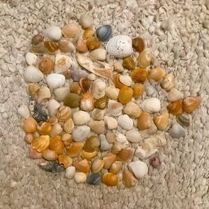 Custom shell bundle — PLEASE READ